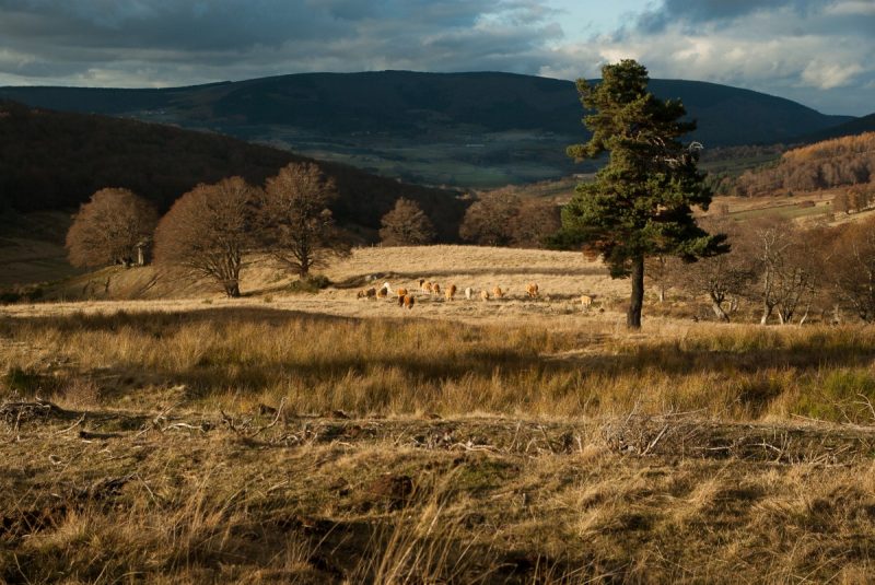 lozere paysage